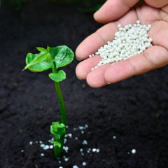 Obsah čistých živin v průmyslových hnojivech