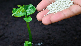 Obsah čistých živin v průmyslových hnojivech